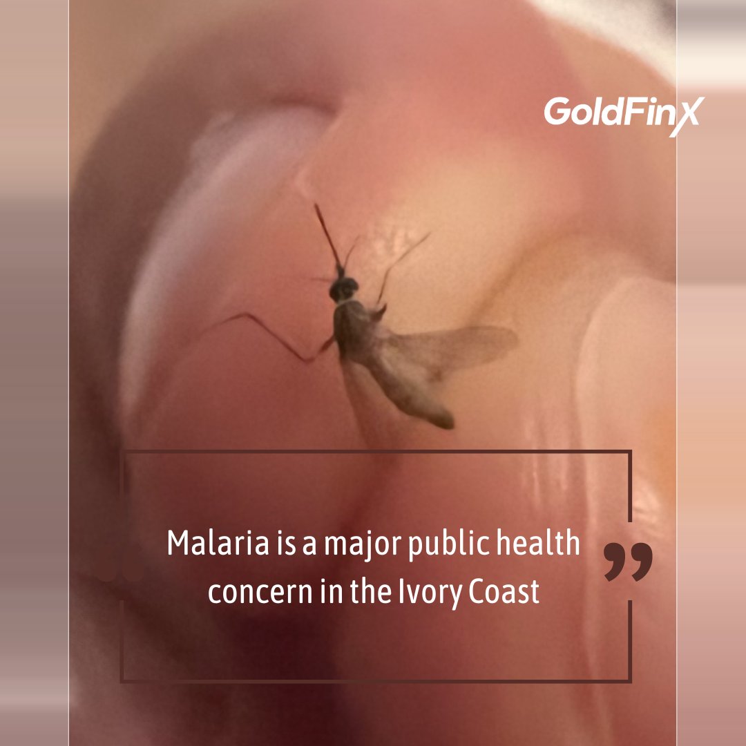 According to the World Health Organization (WHO), in 2020, there were an estimated 8.9 million malaria cases in the Ivory Coast.
All our executives in the country have contracted malaria at least once. As you can see, nothing is going to stop us!