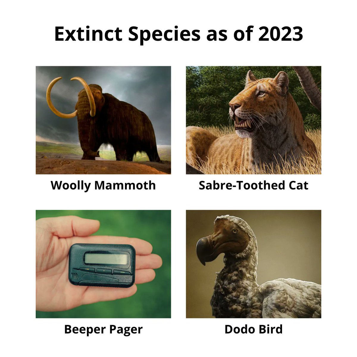 This just in - as of 2023, pagers are officially joining the extinct species list. 

But don't worry! Hypercare is here to keep you up-to-date without the need for those ancient devices. Click here to learn more about our pager replacement solutions: buff.ly/3IF8kRj