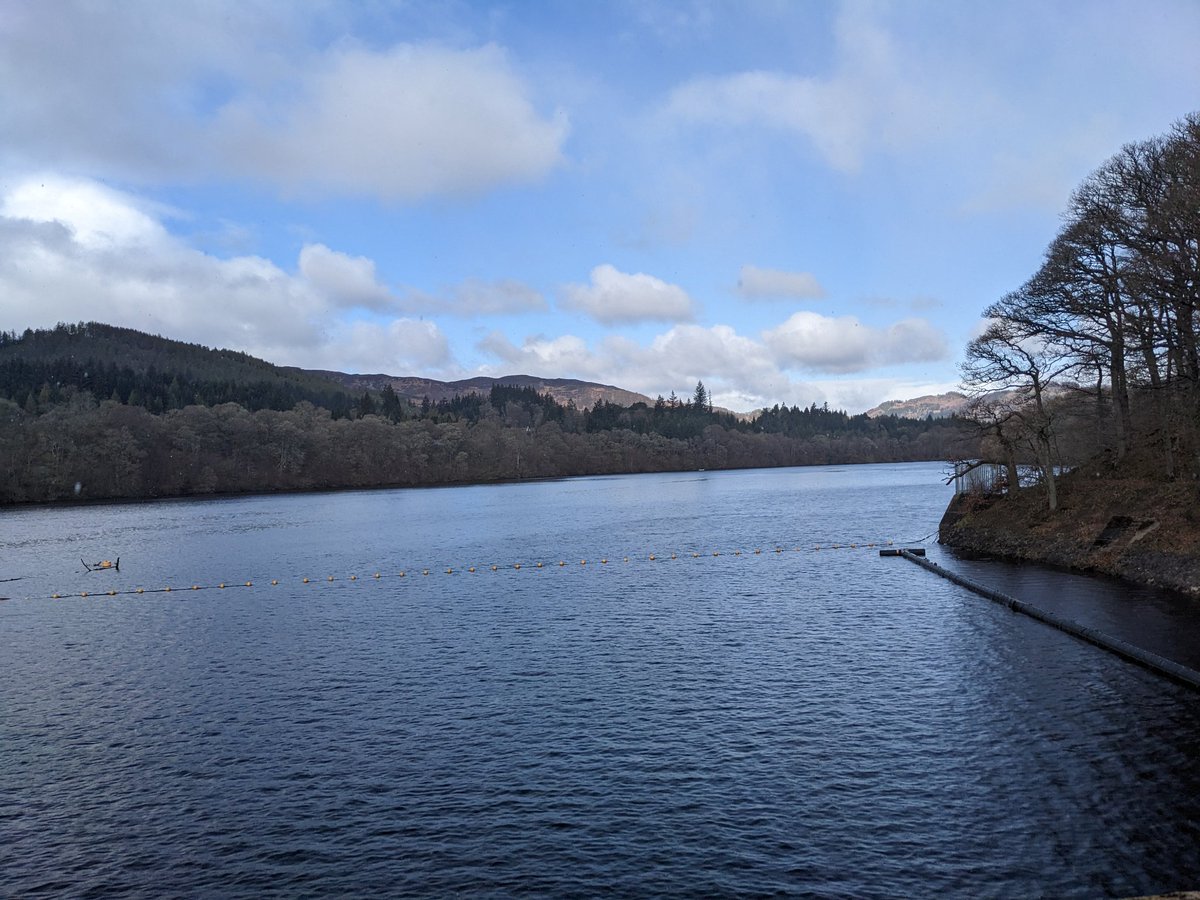 Sam Hardie tweet media