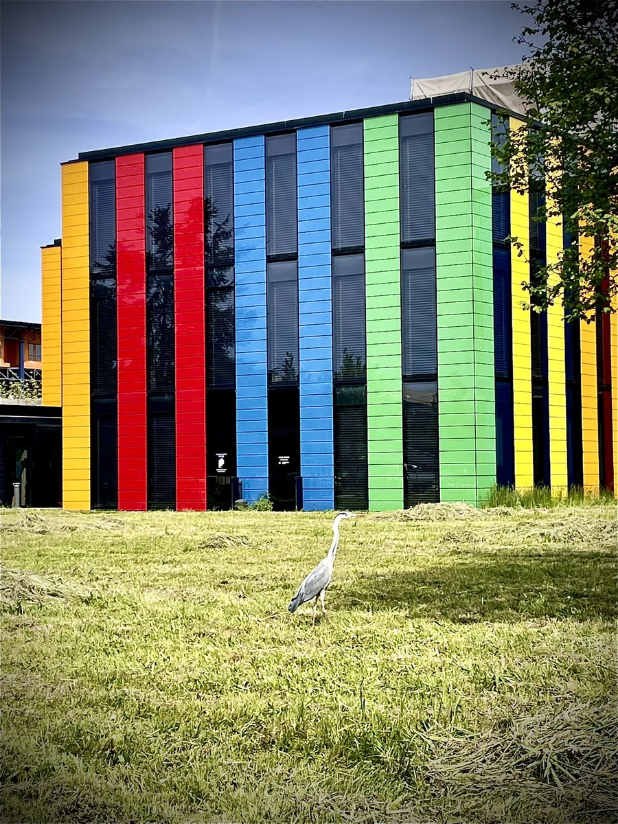 Tamara Milosevic tweet media