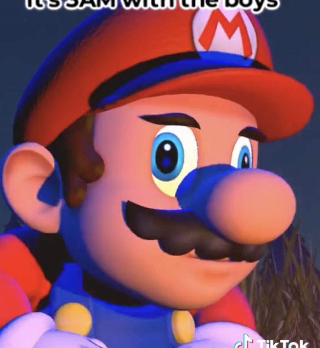 Wahoo Angel 🫁| SMG4 Mario is my ADHD son ️ on Twitter: 