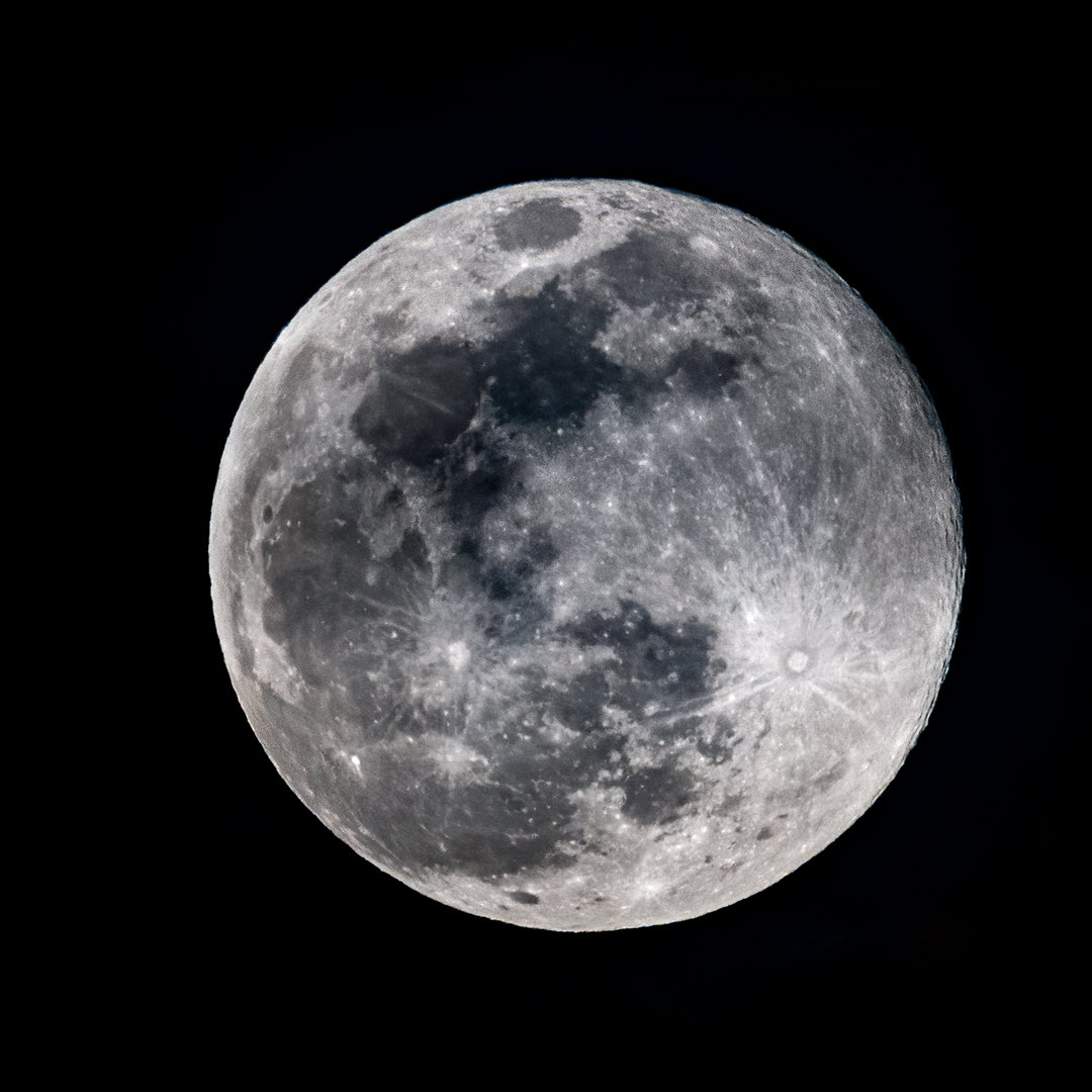 LakeLivingPA's tweet photo. This month's moon is named after all the flowers blooming in May!
Remember to go outside tonight to see this full moon!🌝🌸
If you have a really nice moon picture, share it with us in the comments!
#flowermoon #fullmoon #MayMoon
#lakelivingpa #lakelife https://t.co/m1eEdcGicC