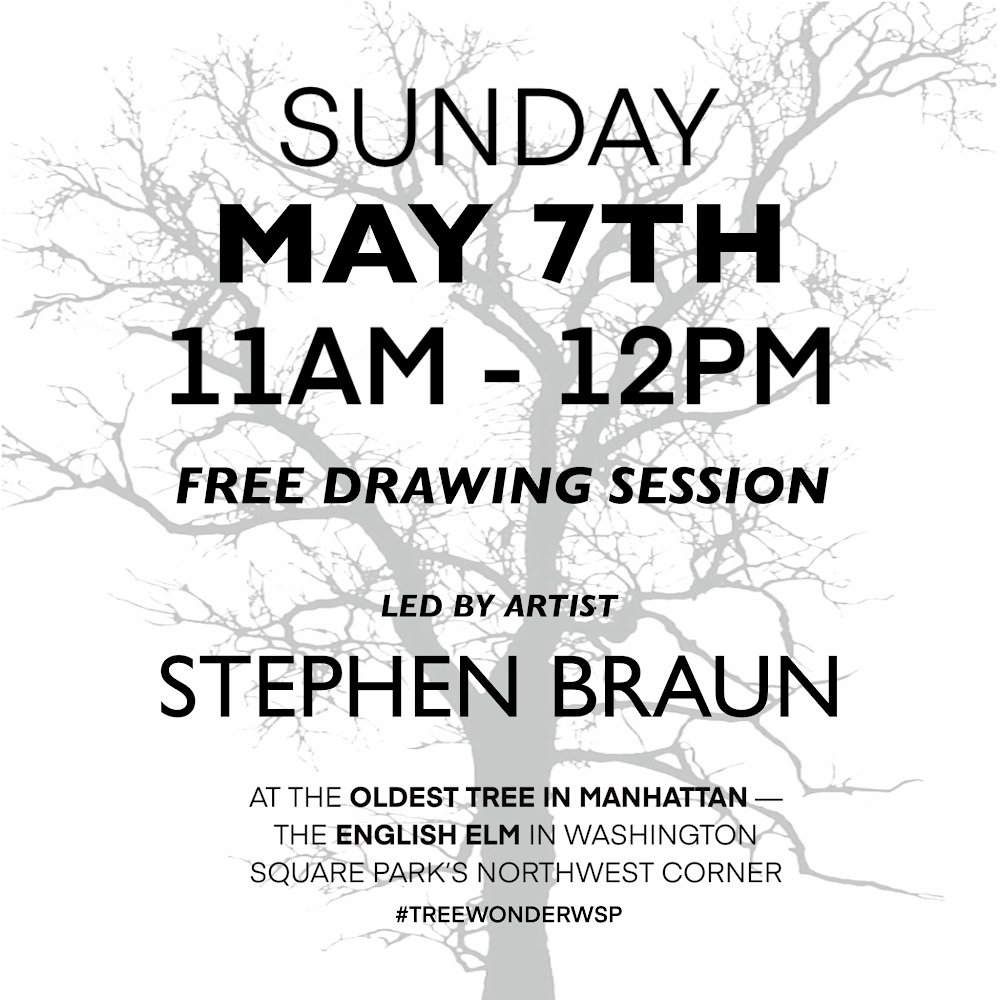 WSPEcoProjects's tweet photo. Spend Sunday morning observing and drawing the iconic English Elm in #WashingtonSquarePark. Join artist Stephen Braun on May 7th at 11 am in the northwest corner of the park. Free. All ages. No registration required. Materials provided. #TreeWonderWSP https://t.co/nK6bOg4i9p