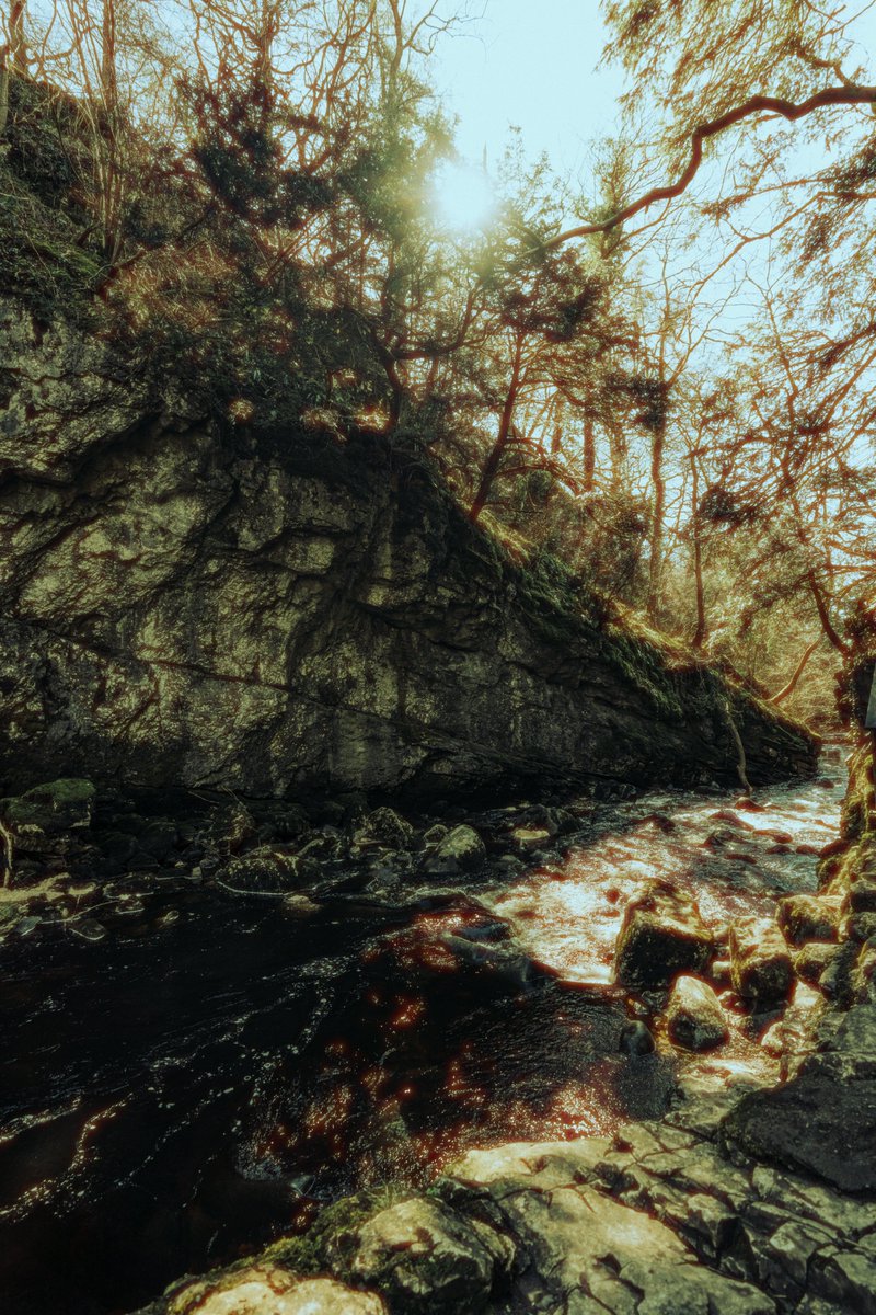 Josh_Snaps's tweet photo. @darklunni @dredogue "Downstream" https://t.co/BYBshi60MC