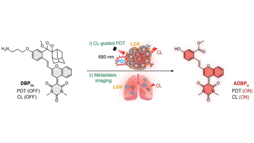 Angewandte Chemie (@angew_chem) on Twitter photo Near-Infrared Photodynamic Chemiluminescent Probes for Cancer Therapy and Metastasis Detection (Kanyi Pu and co-workers) <a href="/NTUsg/">NTU Singapore</a> onlinelibrary.wiley.com/doi/10.1002/an… Near-Infrared Photodynamic Chemiluminescent Probes for Cancer Therapy and Metastasis Detection (Kanyi Pu and co-workers) <a href="/NTUsg/">NTU Singapore</a> onlinelibrary.wiley.com/doi/10.1002/an…