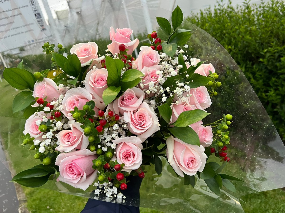 LatinSelections's tweet photo. A perfect bouquet; elegant, classy, and feminine describes this rose better.

Meet Romantic House and experience her touch and versatility.

Wishing you a great weekend ahead!

#colourfulfuture #unitedselectionsbreeding #roses #rosebreeding https://t.co/KvnWQlpNdi