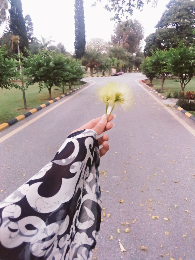 apkimaahi's tweet photo. Tu NY daikha h kabhi ak Nazar sham k bad..🍂🍁
Kitny chup chaap Sy lgty hyn shajar sham k bad..🍂🍁
Itny chup chaap k rasty b rahyn gy laa-ilm..🍃
Chor jayn gy Kisi Roz Nagar sham k bad..🍂 https://t.co/qUFksLnRcU