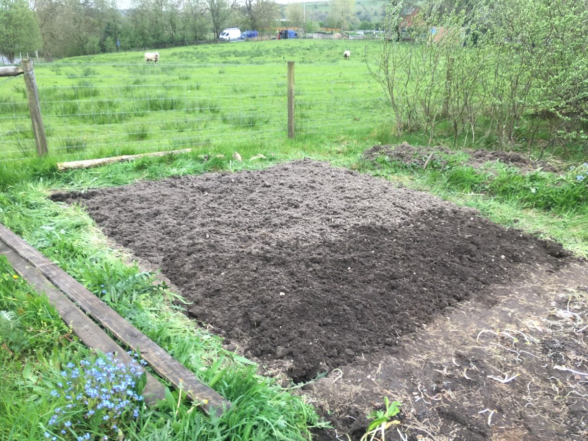 Stephen has been preparing the ground and we’ll be sowing this year’s flax seed soon.