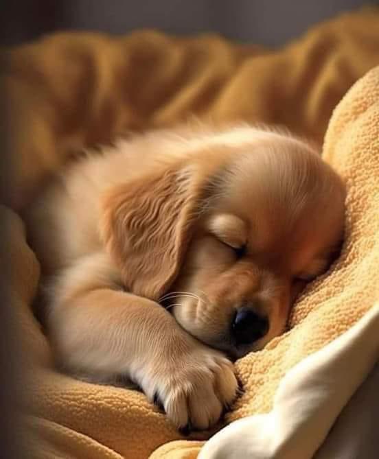 NATURALEZAV3's tweet image. Buenas tardes.