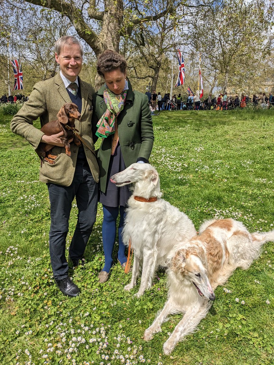 Lucy Bannerman on Twitter "Best dogs in show these Borzoi