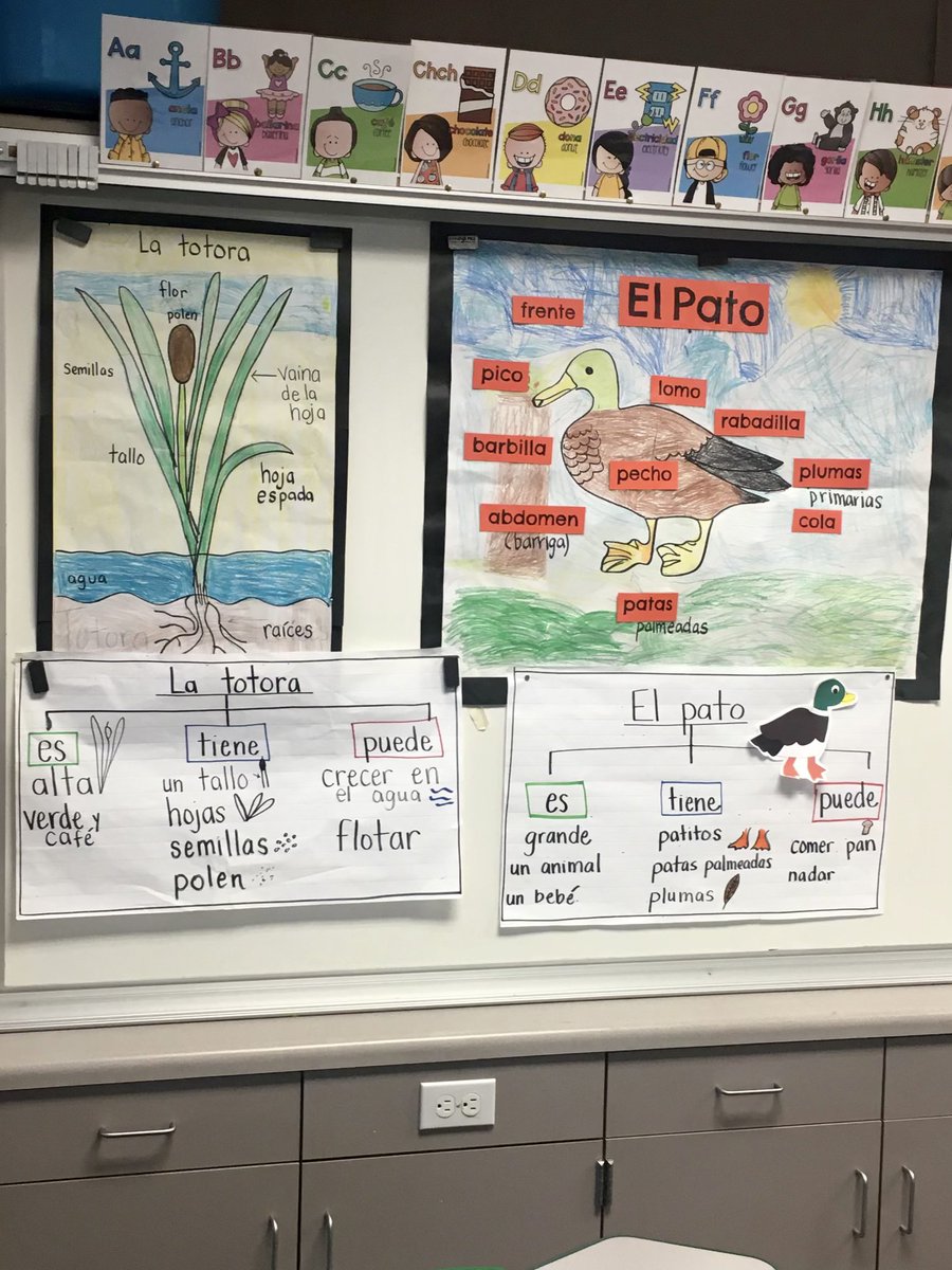 OCDEProjectGLAD's tweet image. Training at La Habra City Elementary School District! 
#projectglad #ocde #oc #lahabra #training #learning #school #trainer #classroom #students #leadership #may #2023 #glad #teamwork #fun l