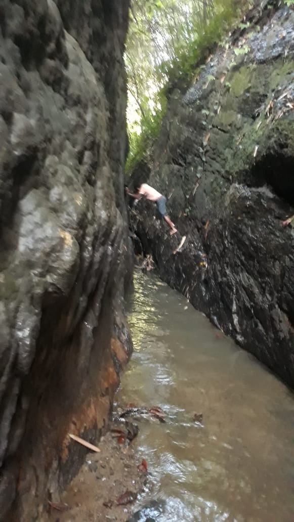 mabhijit_TCS's tweet photo. Somewhere in Rupaichari. Do Visit for the amazing experience! 
#Tripura 
@TripuraTourism https://t.co/OW0sO5U6I6