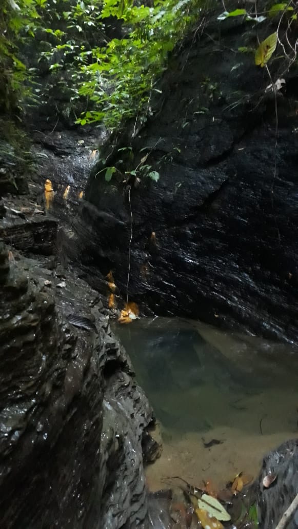 mabhijit_TCS's tweet photo. Somewhere in Rupaichari. Do Visit for the amazing experience! 
#Tripura 
@TripuraTourism https://t.co/OW0sO5U6I6