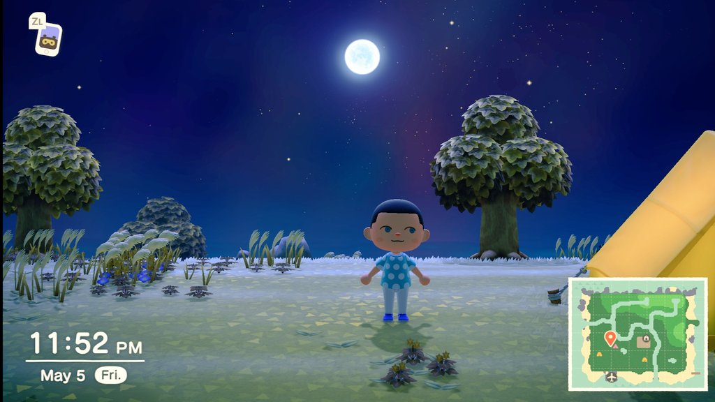 Sulthanos212's tweet photo. #AnimalCrossingNewHorizions https://t.co/Dq4TLFPttE