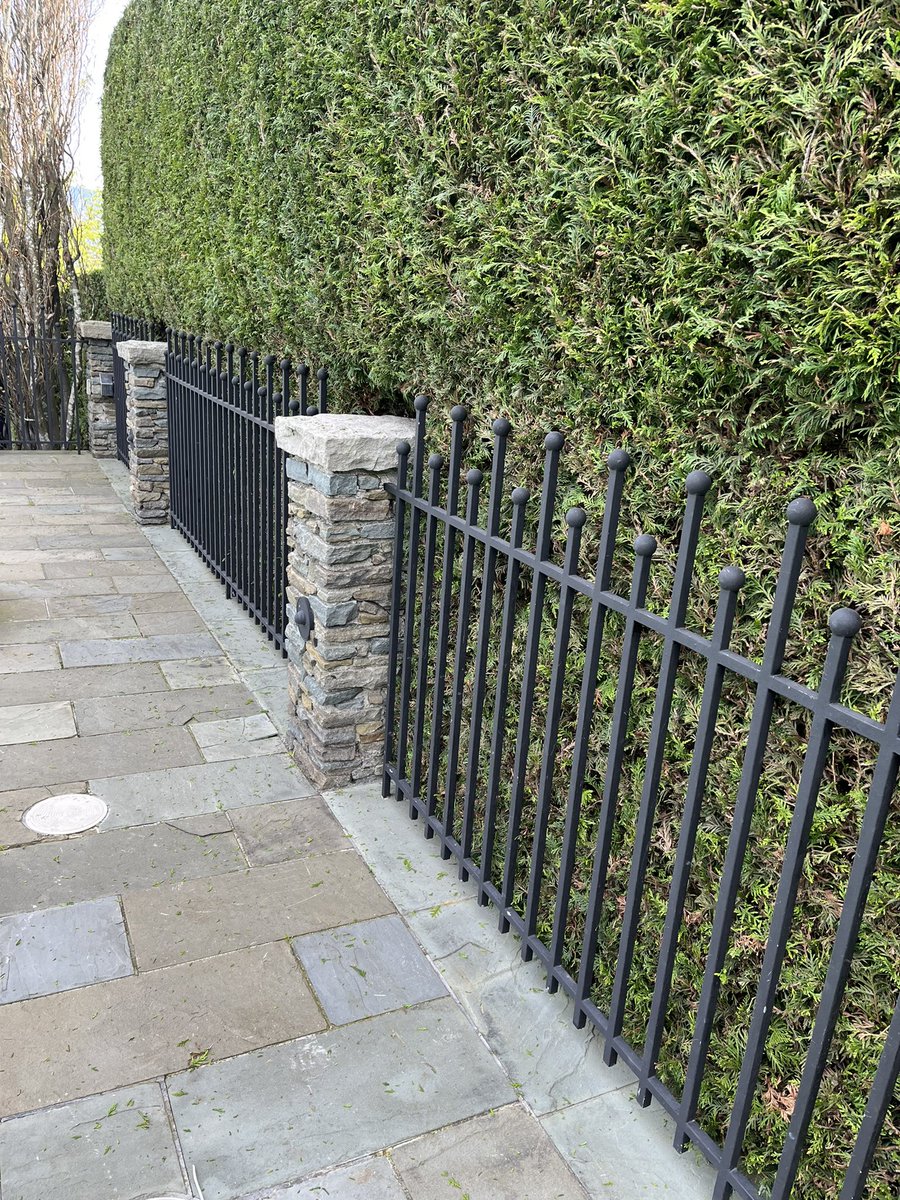 J L Safronick tweet media