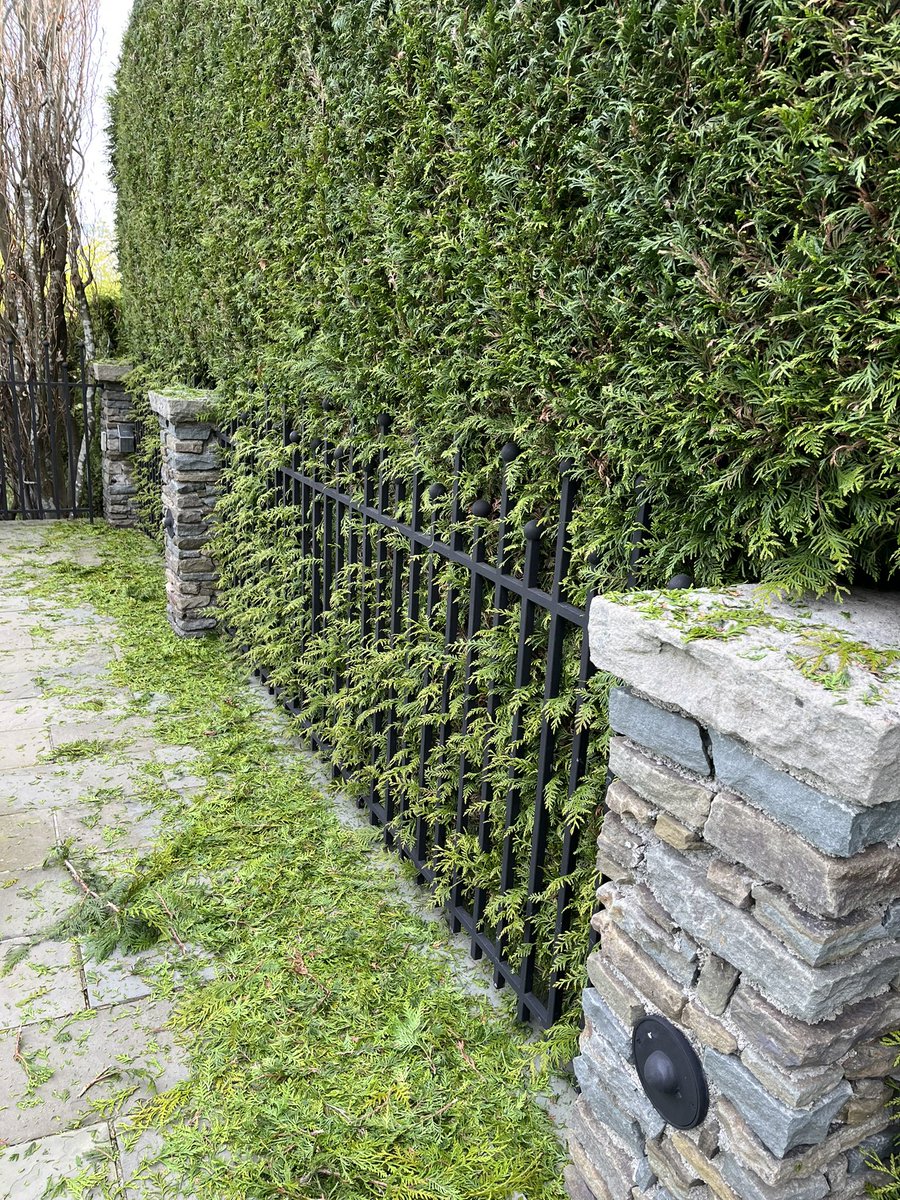 J L Safronick tweet media