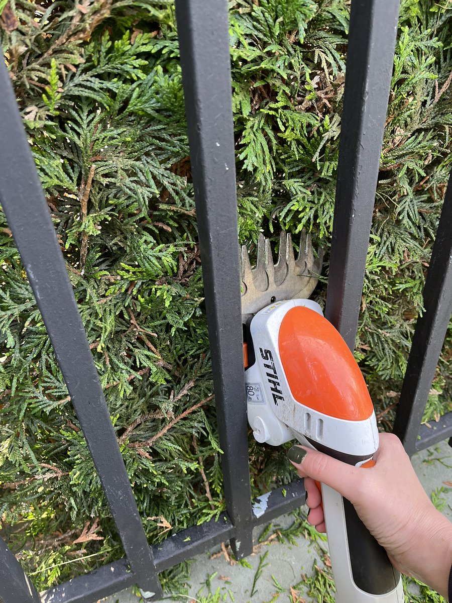 J L Safronick tweet media