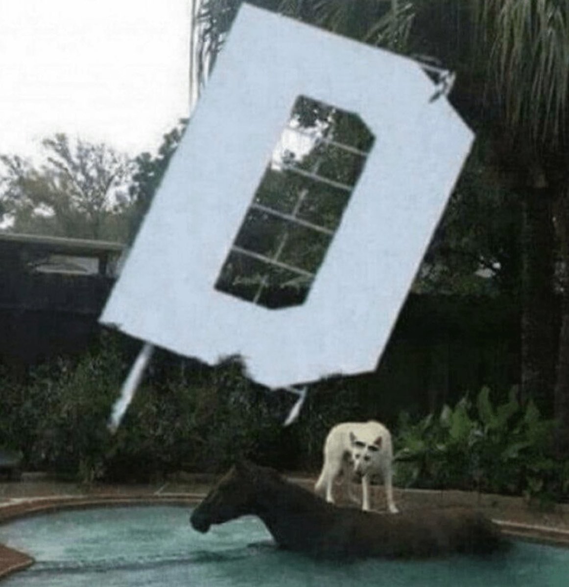 Album Aura 💿 tweet media