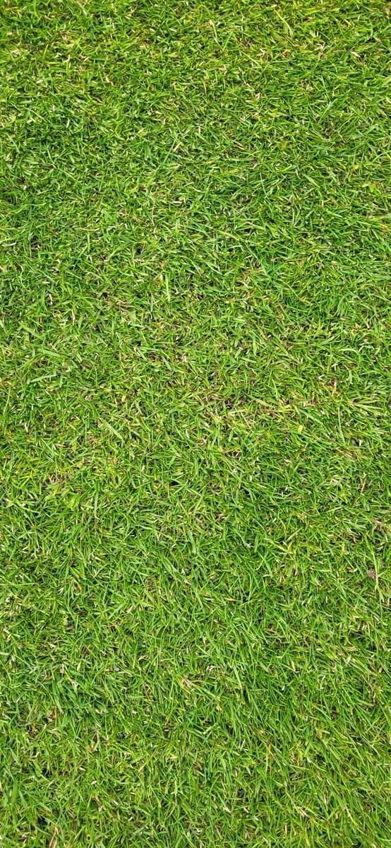 Busy time on the course <a href="/AldwickburyGolf/">Aldwickbury Park GC</a>  and the tees getting a overseed with <a href="/BarenbrugUK/">Barenbrug UK</a> RPR with the approaches getting <a href="/barenbrug/">Barenbrug Argentina</a> ultra fine rye. Perfect timing with the incoming weather 🌧🌧