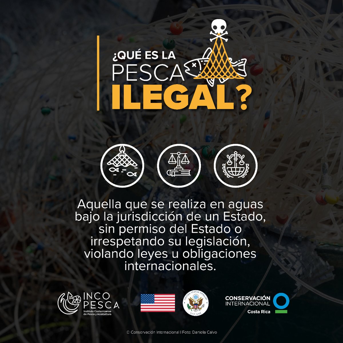 La #PescaIlegal consiste en extraer especies no permitidas o con tallas inferiores a la mínima, en lugares donde no se puede o usando métodos prohibidos. <a href="/Incopesca_CR/">Incopesca</a> <a href="/usembassysjo/">US Embassy San Jose</a>