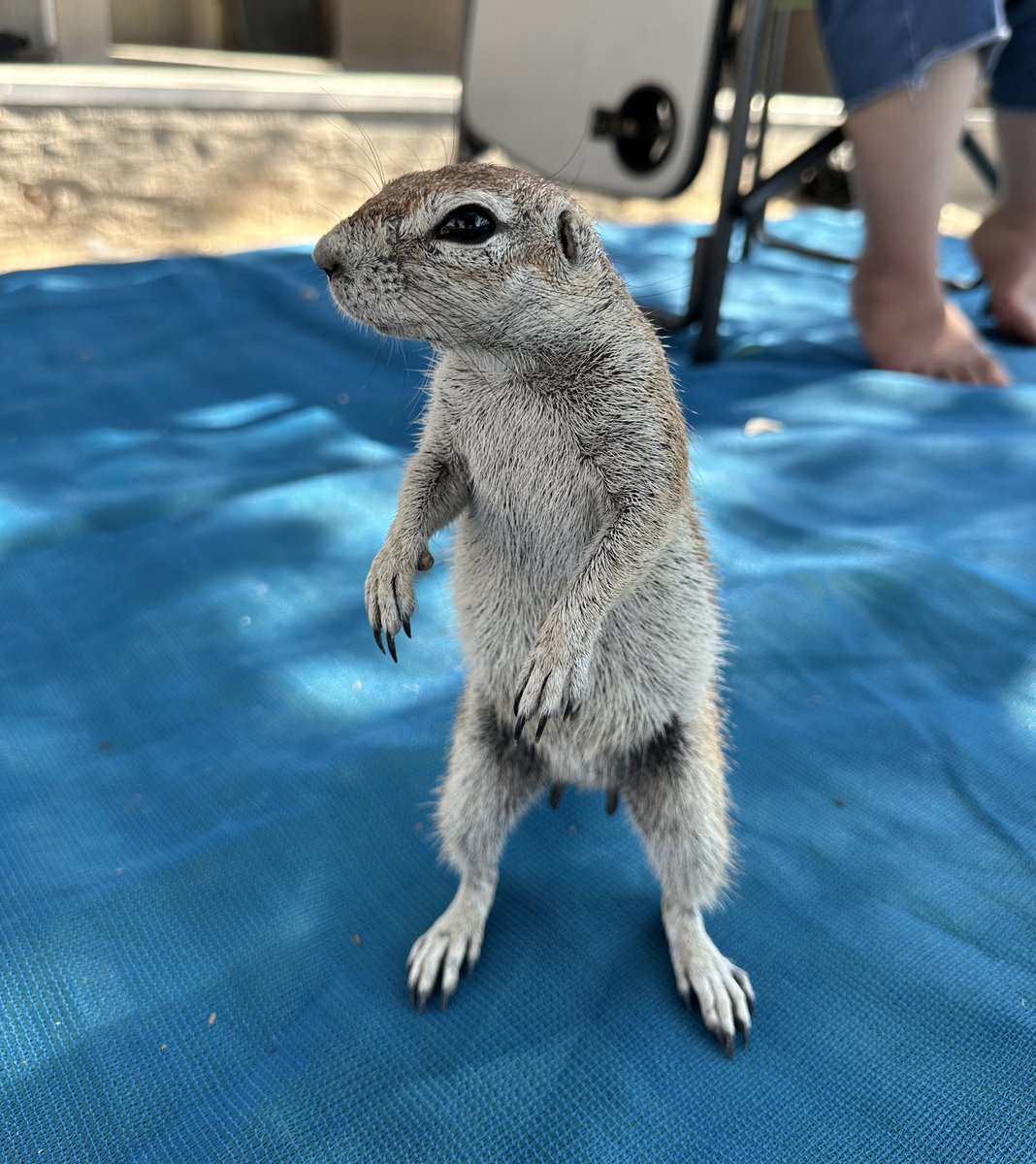 fwyellow's tweet image. Ja nee lekker bosveld 🫶