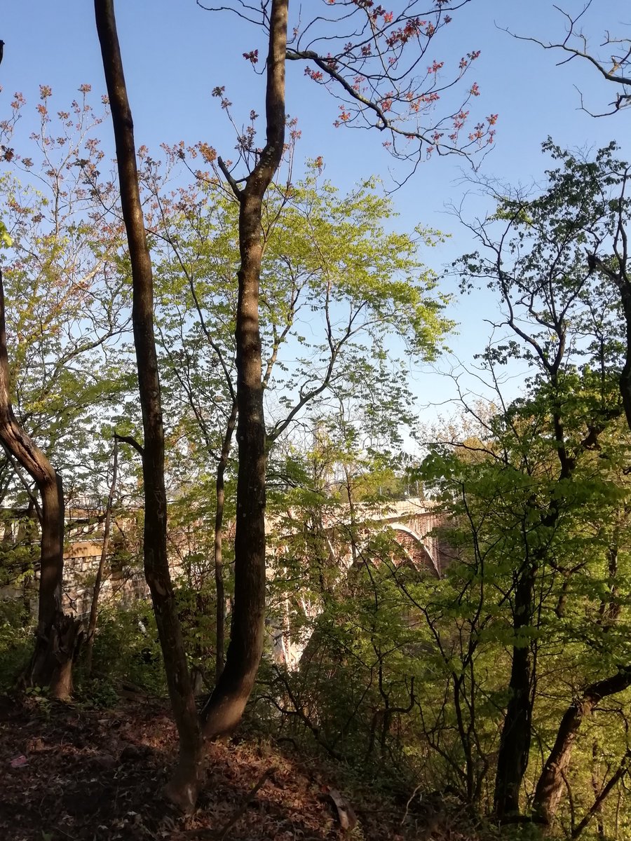 Eva Pander Maat tweet media