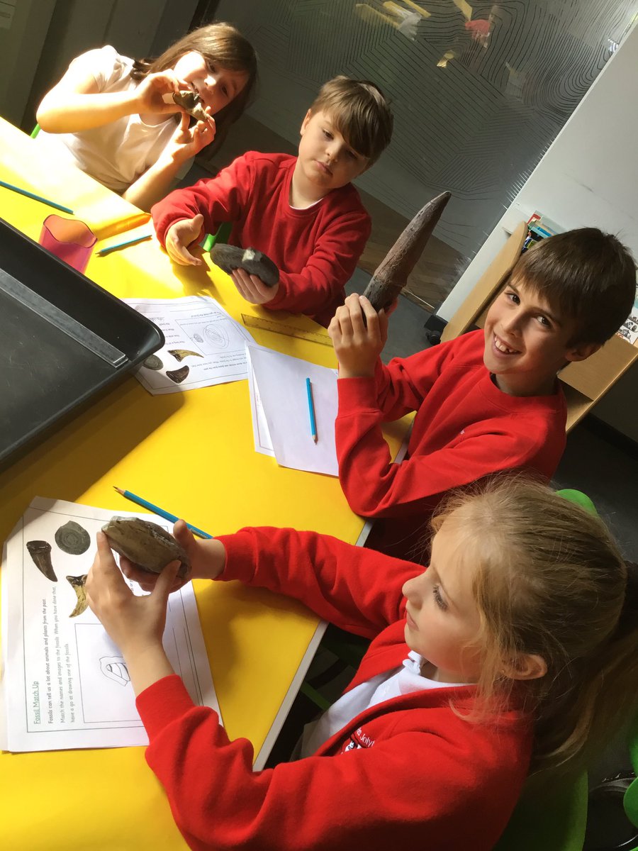 TJPrimary's tweet photo. 3D had an amazingly informative morning at the Lapworth Geology Museum yesterday. We met ‘Roary’, completed a museum trail, and found out all about fossils. We loved it! #TJScience #TJYear3 #TJEnrich https://t.co/CMr5PNbDgp