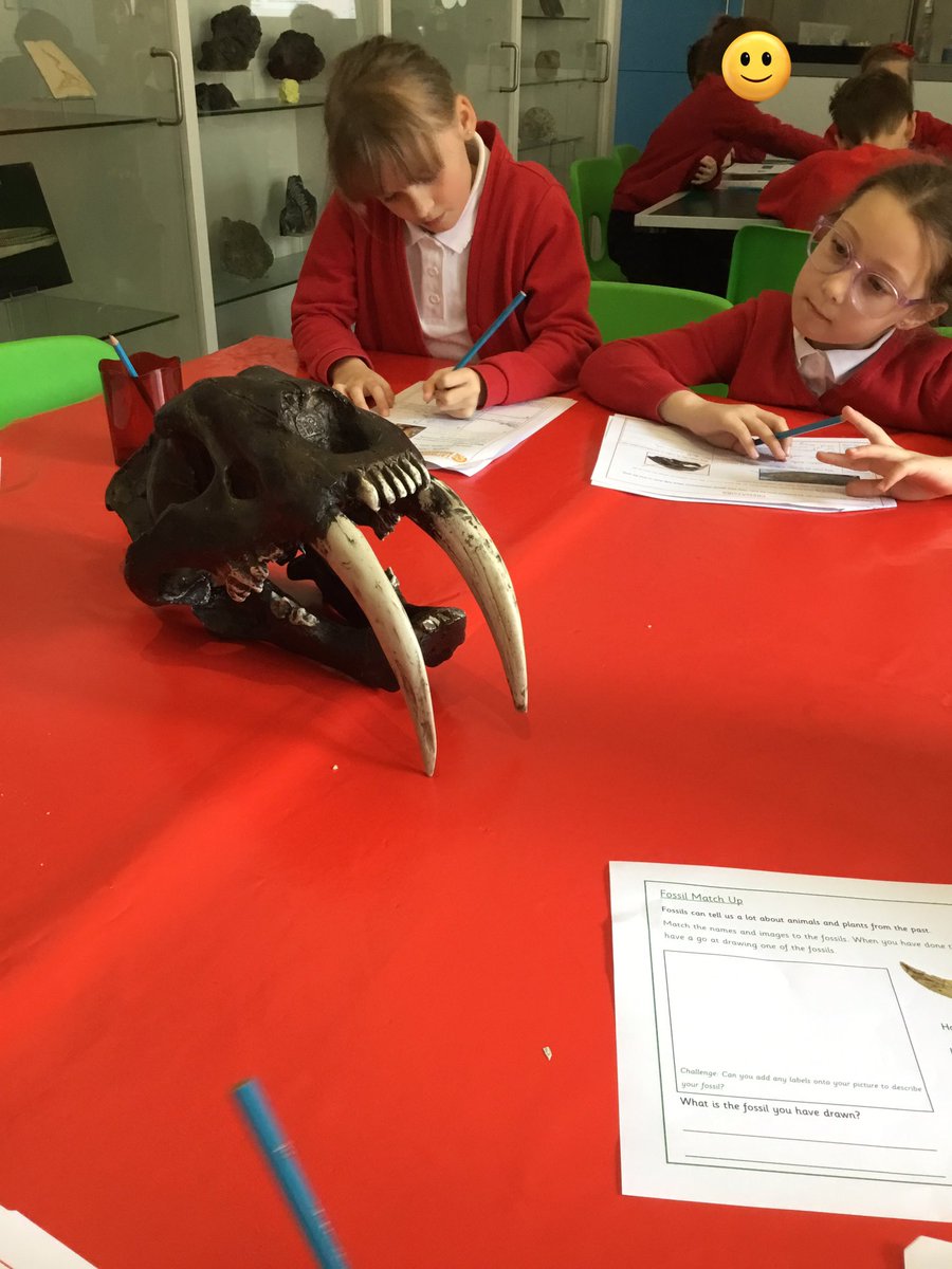 TJPrimary's tweet photo. 3D had an amazingly informative morning at the Lapworth Geology Museum yesterday. We met ‘Roary’, completed a museum trail, and found out all about fossils. We loved it! #TJScience #TJYear3 #TJEnrich https://t.co/CMr5PNbDgp