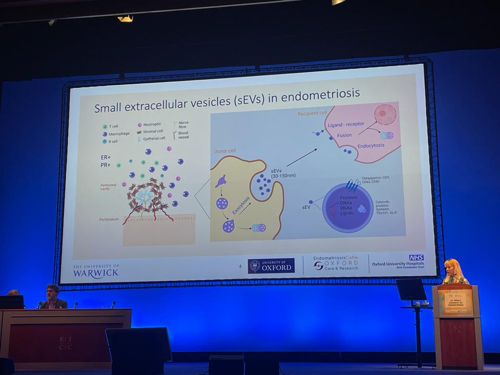 OxfordEndoCaRe's tweet photo. Great talk by DPhil student Yifan Wang #WCE2023 on extracellular vesicles in #endometriosis and their modulation by hormones https://t.co/em1e7GKPQV