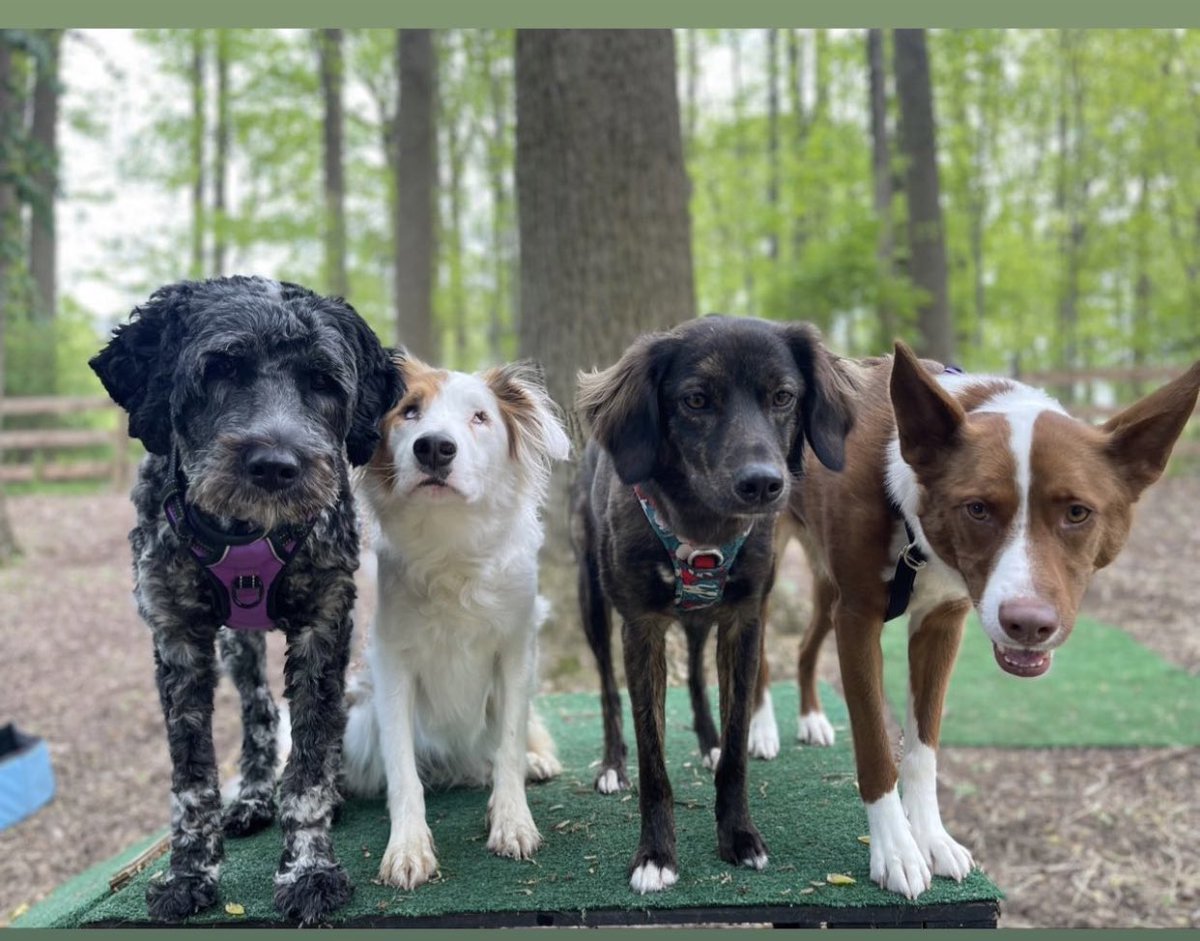 bignosebluffton's tweet photo. me and my frands https://t.co/SIs16Z28ca