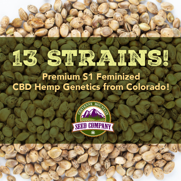 CheyenneSeed's tweet photo. Buy Premium S1 Feminized CBD Hemp Genetics from Colorado! https://t.co/0LHWEfZ5eB https://t.co/eKanc925Iw
