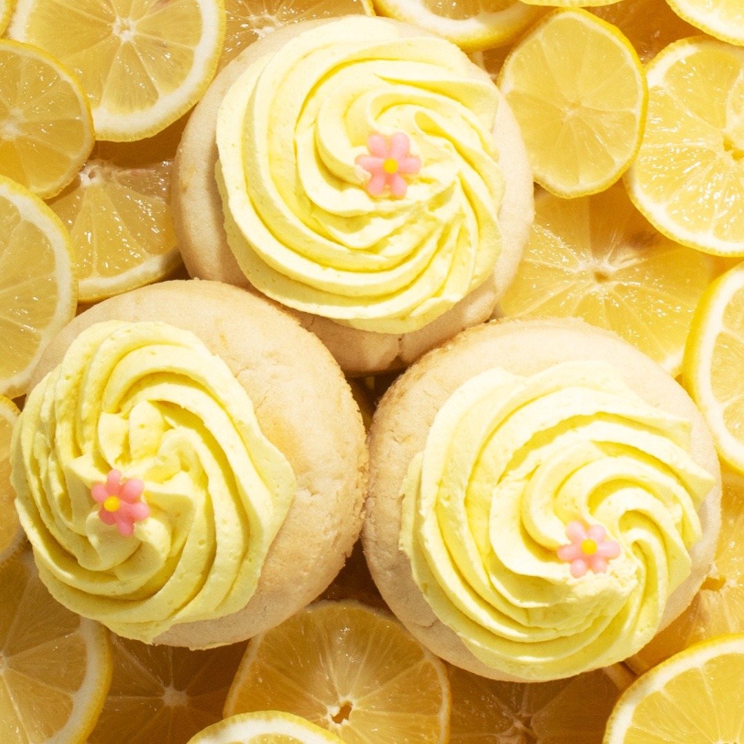 PucksCookies's tweet photo. Are lemon desserts your thang?  This lemon is WOW!  The right balance of tart, sweet, and salty.  These are available in puck bites as well.  

Order online: https://t.co/FYrgU3Ausg https://t.co/LyZBxrCbWS
