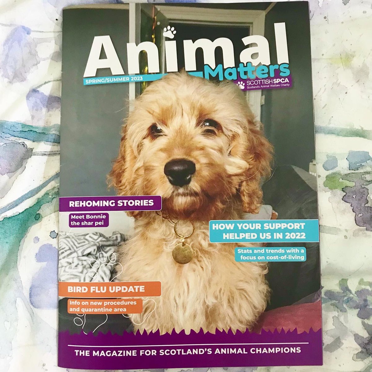 GGallerina's tweet photo. 🐾💌 Happy post in the latest Animal Matters from @ScottishSPCA - how lovely to see both the Kelpies Supernova #RunForRescues AND our Lanarkshire Fundraisers Group featured! Please donate now to Scotland’s only all animal emergency service: 🐶🐱🐹🐰https://t.co/ERxeHhvmBK https://t.co/8CbBxNAbCO