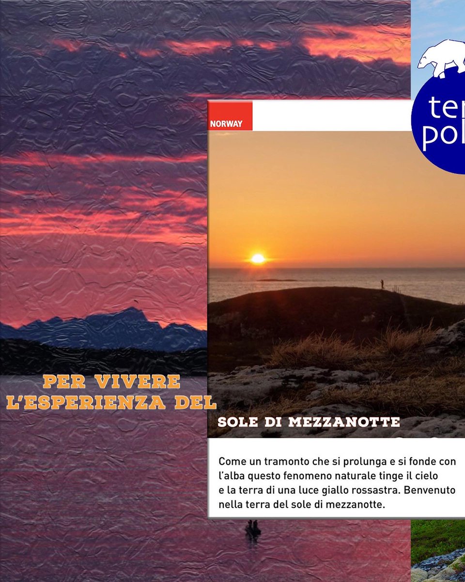 TerrePolari's tweet photo. Scopri i tesori nascosti del Nord della Norvegia viaggiando con noi tra le incantevoli Lofoten, la maestosa isola di Senja e la vivace città di Tromso.
Avventurati in paesaggi mozzafiato, immergiti nella cultura locale e vivi un'esperienza indimenticabile! https://t.co/vR9i5J4SNP