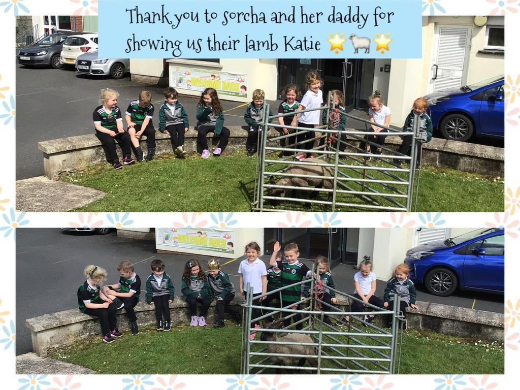 StFinnis's tweet photo. Our Reception/P1 pupils are working hard to develop their talking and listening skills with their Show and Tell. Sorcha brought in her friend Katie to meet the girls and boys!!! Everyone agreed it was fa-baaa-ulous!!! https://t.co/nfKSYfJxWu