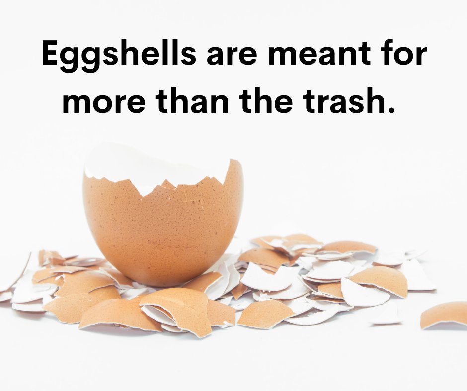 RecycleBrownCo's tweet image. Don’t’ throw those eggshells away! They are great added to your compost. 

#CompostingTips #BrownCountyResourceRecovery