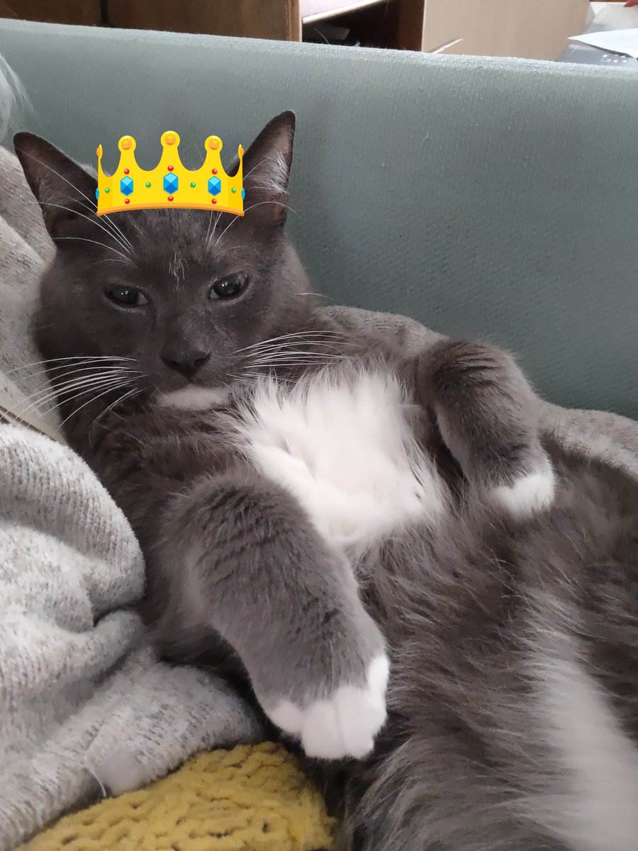 The Ultimate Pathetic Loserman Awards tweet media