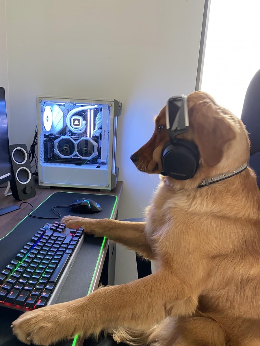 PCREPAIROK's tweet photo. ๐พ๐ฅ๏ธ Ever wondered what your furry friend is up to when you're not at home? They might just be surfing the web! Or Maybe on Call of Doody?๐ถ๐ป #CabalaConsolidated! ๐๐พ #doglife #doggo #smarterpets #connectedpets https://t.co/CpTwo6KB76