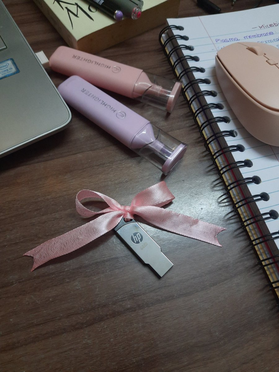 keersaloni's tweet photo. Putting a pink ribbon around my pendrive because I'm a ✨Woman in STEM✨ https://t.co/ZBdHG69X0x