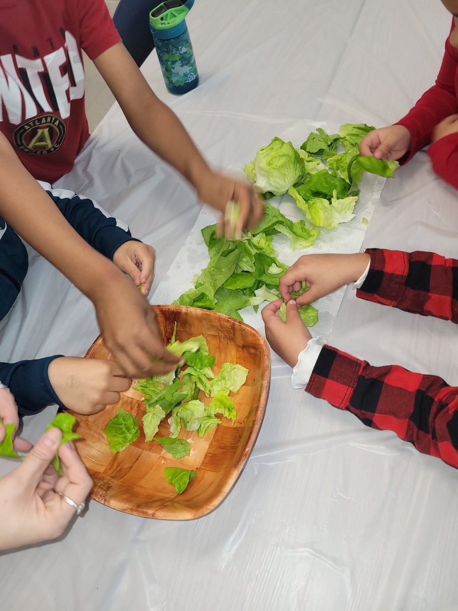 KristiMeyersSC's tweet photo. Our first graders had so much fun learning about the life cycle of a plant, making salads, building worm homes, and planting tomatoes at the Teaching Museum!! @ManningOaksFCS https://t.co/SELkedHr1M