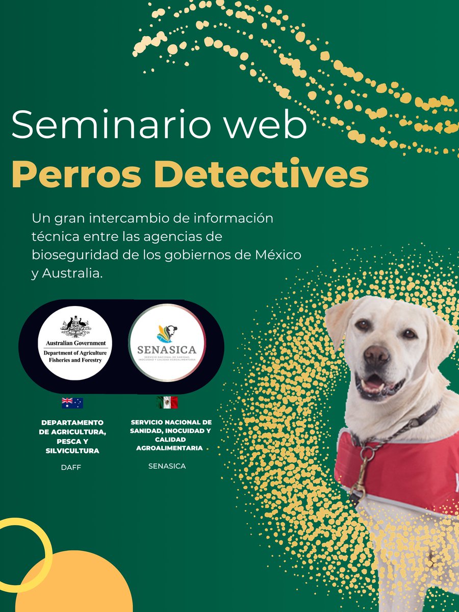 AusAgMexico's tweet photo. Así se vivió el Seminario web de intercambio de información técnica en materia de perros Detectores, 🐕‍🦺entre Agencias Mexicanas 🇲🇽 y Australianas🇦🇺.

El webinar contó con aproximadamente 150 asistentes en cada día y la participación de más de 6  países de la región. https://t.co/IPj3kw4Qis