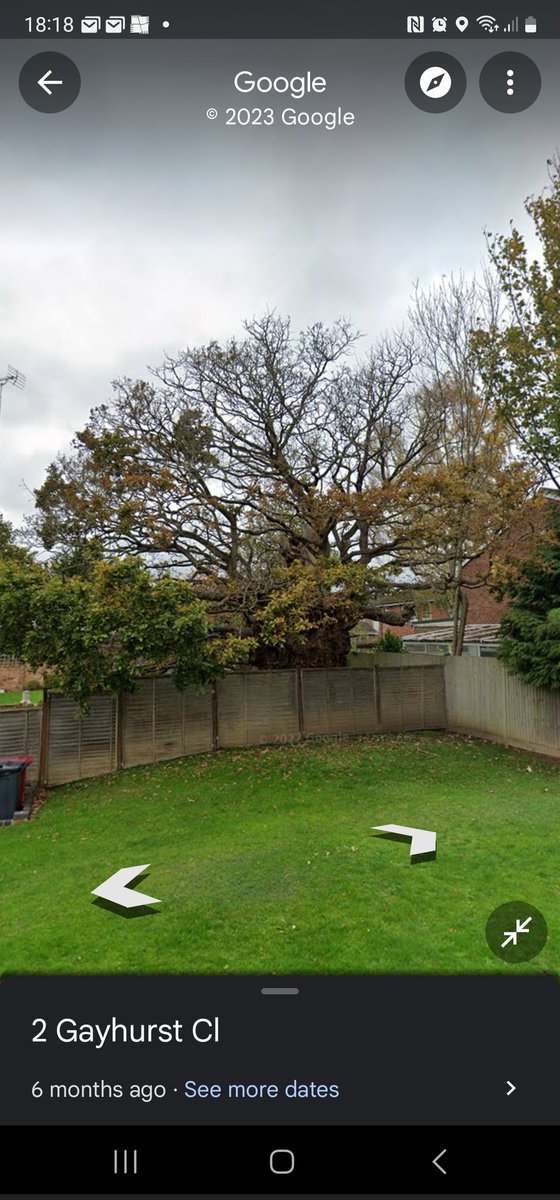 LovestreesIdoes's tweet photo. @ReforestB The trunk alone is amazing. Why would anyone want to bring down such beauty ๐ญ๐ญ๐ญ
#savethetrees #savetheoak https://t.co/fDV8lXeGBq
