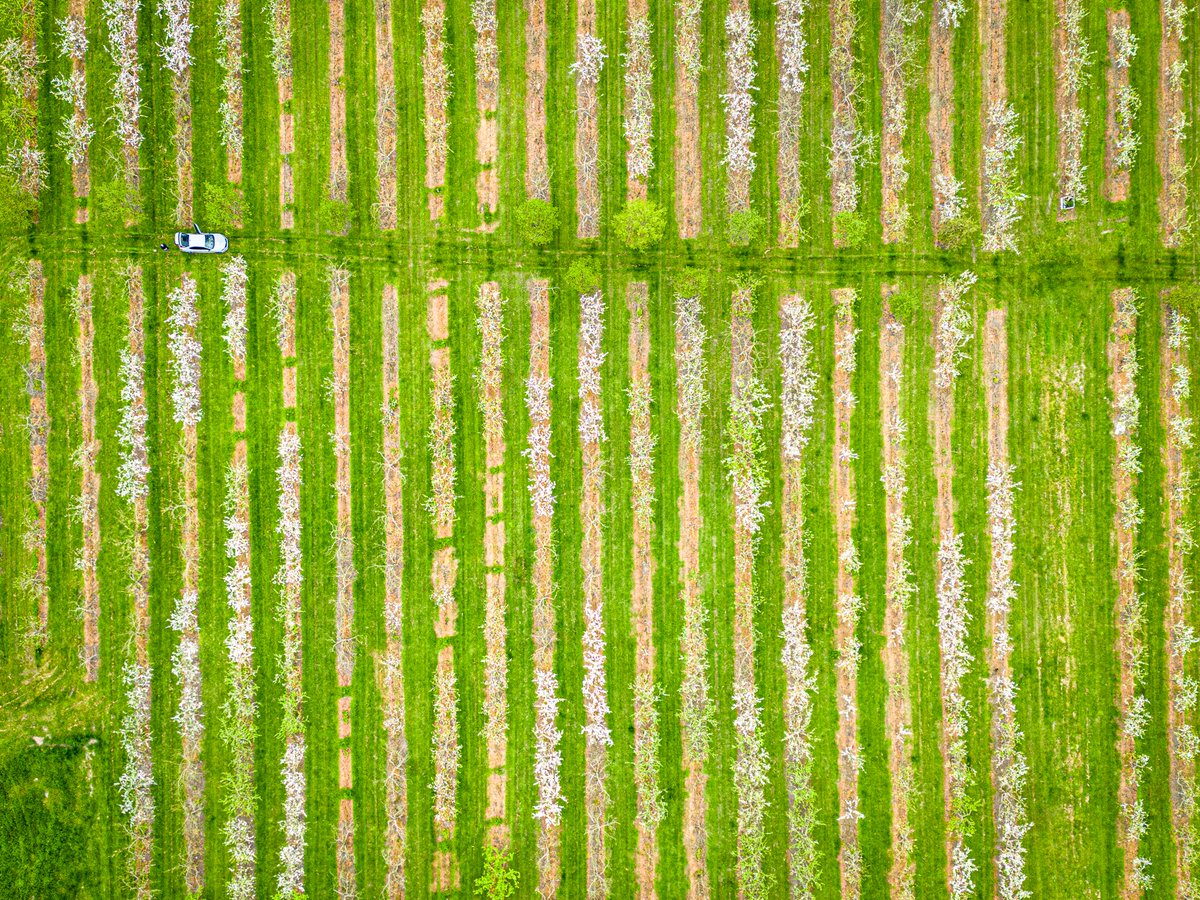 Been a foodie week for photos. Wine, Meat and this one on location photographing Kelly and her team (and some of the orchards where the apple juice comes from) at the Cambridge Juice Company for the Indie Cambridge. @IndieCamb @cambridgejuiceco #meldreth @camvalleyorchards