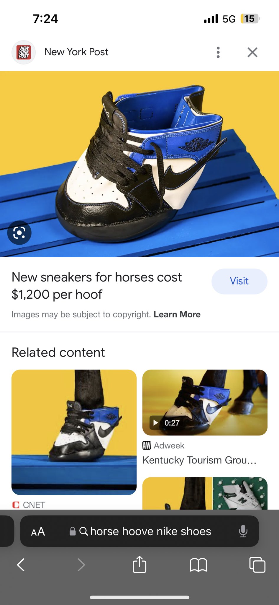 New sneakers for horses cost $1,200 per hoof