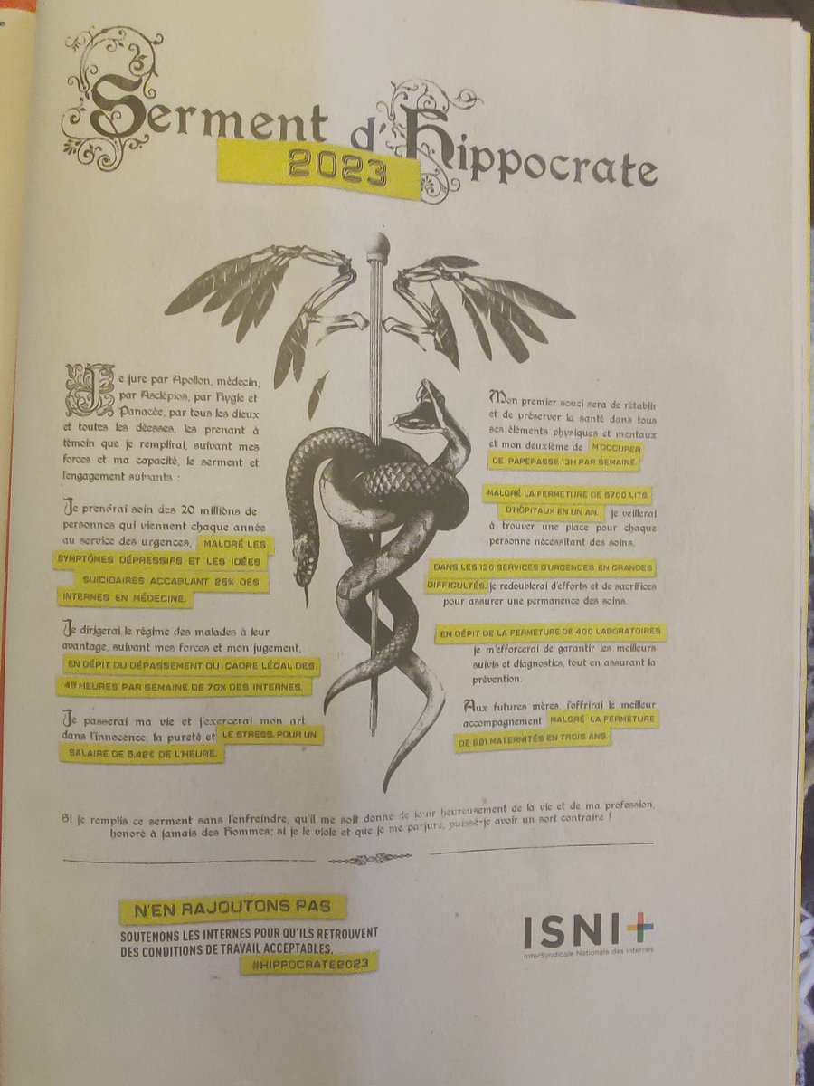 Lilith Peper tweet media