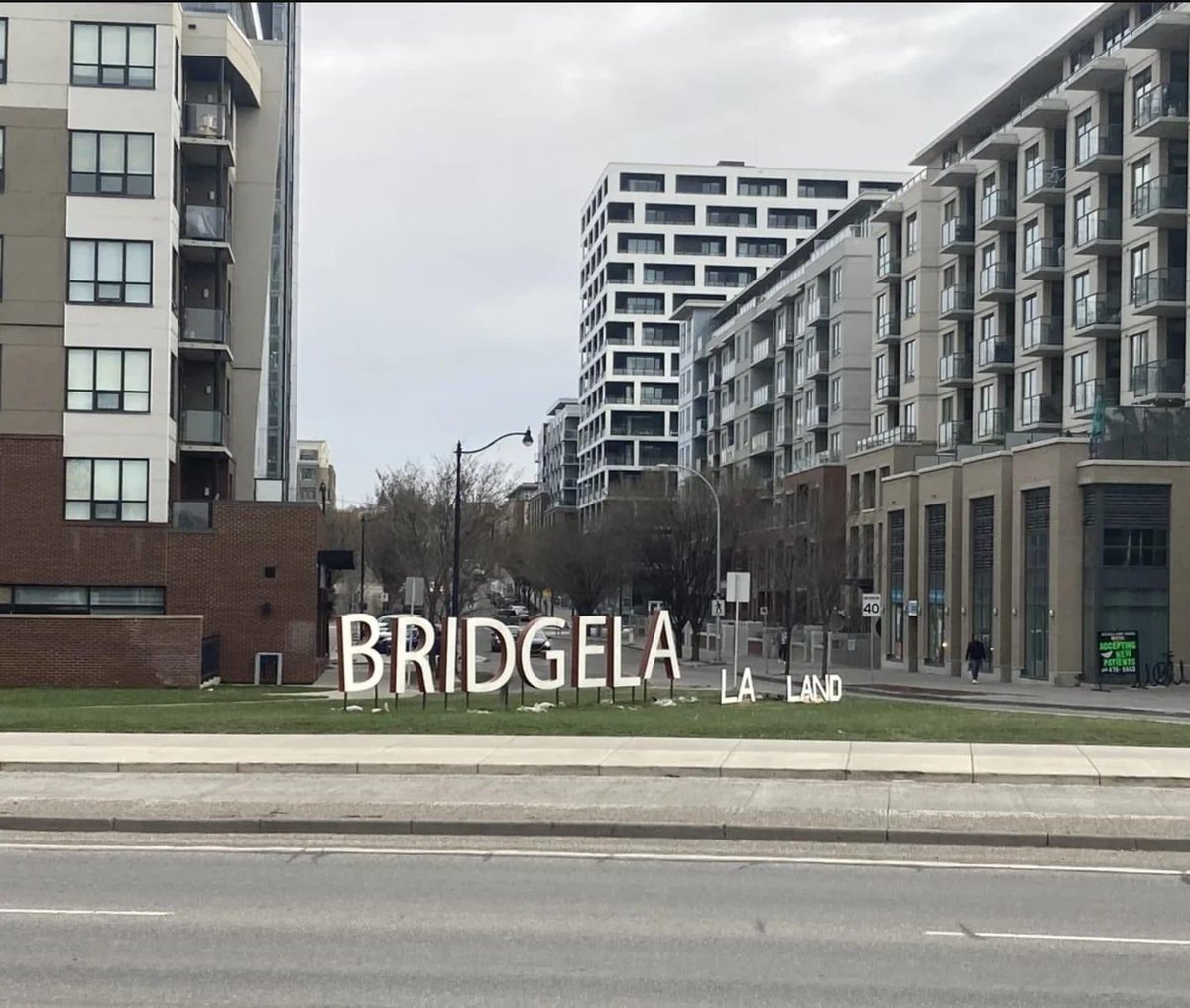 _MissCierra's tweet photo. @RyanGosling  you gonna come visit us in yyc / I mean bridge-la-la-land https://t.co/tlv1ePg56K