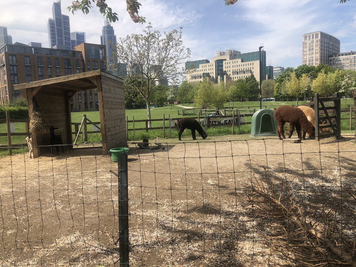 Begin2Sports Group Academy C.I.C tweet media