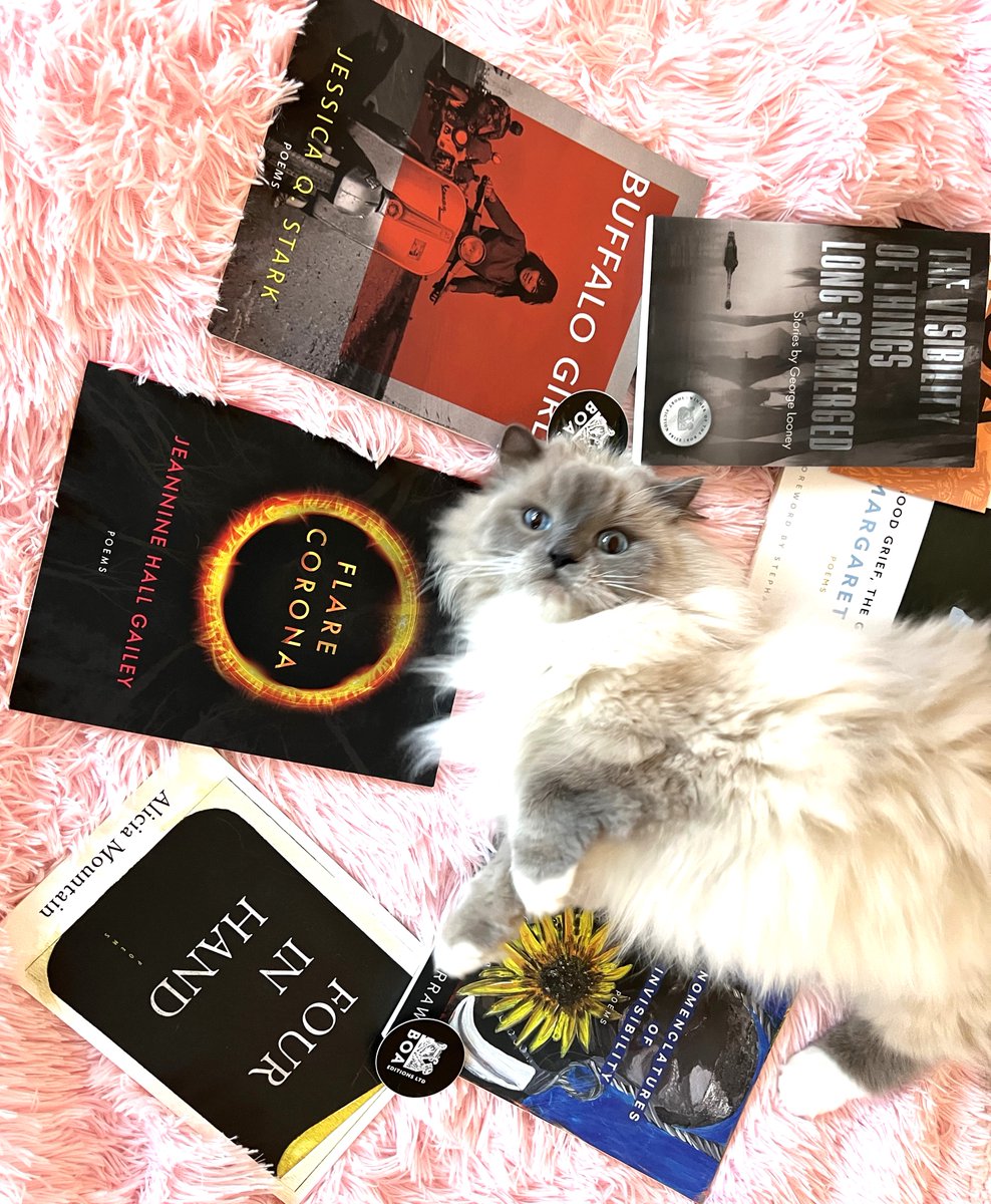 webbish6's tweet image. I'm not just a @boaeditions author, I'm also a customer! This is the package you get if you sign up for their Spring "book lovers subscription," including my new book! A great gift. Fluffy cat not included. #poetrybooks #booksubscriptions #BOAauthor boaeditions.org/products/subsc…