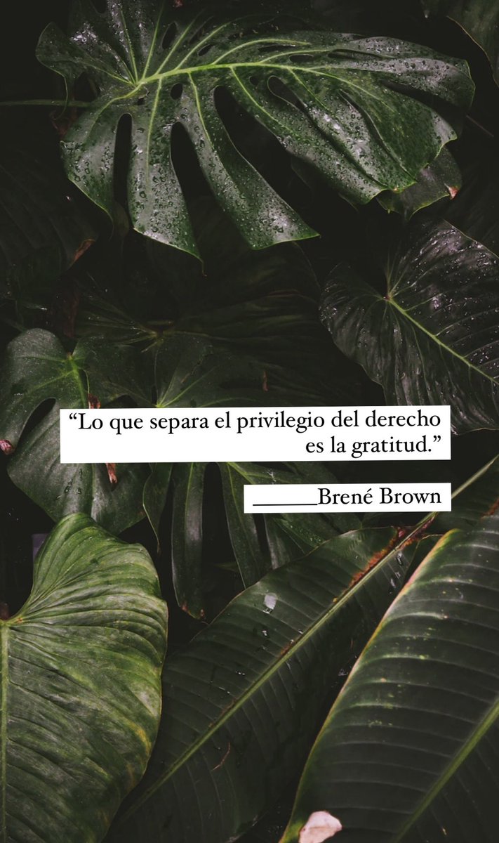irinamuskus's tweet photo. Valiente gratitud que nos hace libres https://t.co/T38CpptOWu
