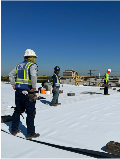 CSL Materials tweet media